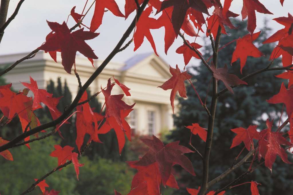 Sunningdale Park Hotell Ascot  Exteriör bild